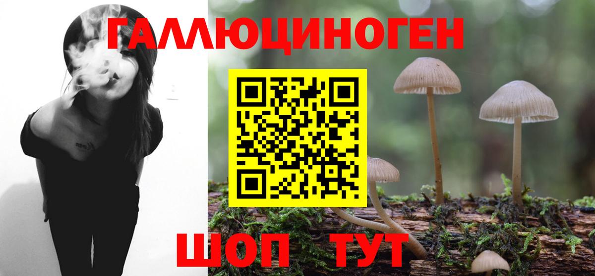 Псилоцибиновые грибы Magic Shrooms  Вход с VPN  Новокузнецк  Псилоцибиновые грибы GOLDEN TEACHER 