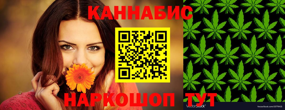 Шишки марихуана планчик Новокузнецк